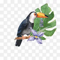 ��ͨ�ɰ�С����װ�ζ���ͷ��-������