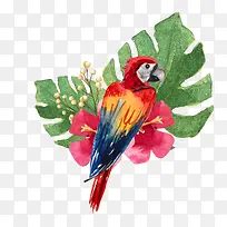 ��ͨ�ɰ�С����װ�ζ���ͷ��-������