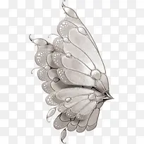 蝴蝶png素材-空若网 蝴蝶png素材-空若网