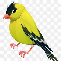 �ֻ�����PNG����-������