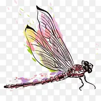 卡通蜻蜓-空若网 卡通蜻蜓-空若网