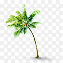 夏日插画海边椰子树-空若网 夏日插画海边椰子树-空若网