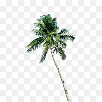 高清沙滩海边效果摄影图-空若网 高清沙滩海边效果摄影图-空若网