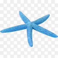 高清摄影沙滩海边蓝色海星-空若网 高清摄影沙滩海边蓝色海星-空若网