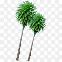 ������Ӱɳ̲Ҭ֭������-������