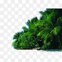 海边沙滩摄影椰子树-空若网 海边沙滩摄影椰子树-空若网