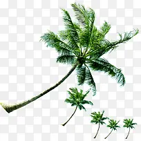 ��Ӱɳ̲����Ҭ����-������