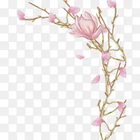 �ֻ�ֲ�ﻨ��-������