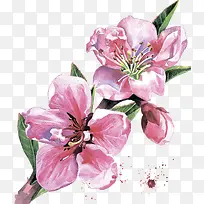 �ֻ�ֲ�ﻨ��-������