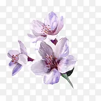 �����ֻ�-������