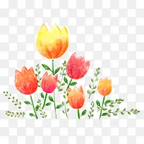 手绘植物花卉-空若网 手绘植物花卉-空若网