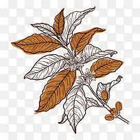 手绘植物花卉-空若网 手绘植物花卉-空若网