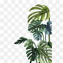 手绘水彩叶子装饰-空若网 手绘水彩叶子装饰-空若网