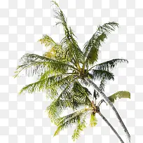 Ҭ����-������