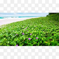 ���ߺɻ�������Ӱ-������