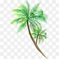 椰子-空若网 椰子-空若网