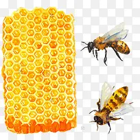 蜂蜜-空若网 蜂蜜-空若网