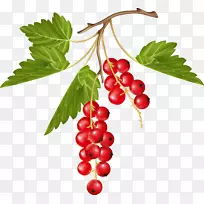 ���ѽ���-������