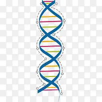彩色DNA-空若网 彩色DNA-空若网