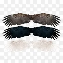 ���-������