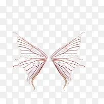 翅膀-空若网 翅膀-空若网