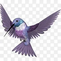 卡通手绘尖嘴鸟-空若网 卡通手绘尖嘴鸟-空若网