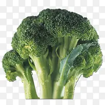 蔬菜西蓝花-空若网 蔬菜西蓝花-空若网