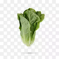 Ҷ������ɫ��ʮ�ֻ����߲�����-������