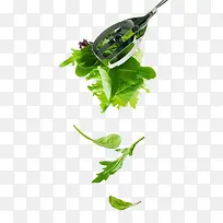 青菜蔬菜-空若网 青菜蔬菜-空若网