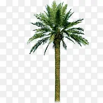 �����-������