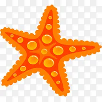 卡通手绘插画海星沙滩-空若网 卡通手绘插画海星沙滩-空若网
