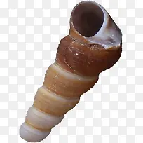 摄影沙滩夏日海螺贝壳-空若网 摄影沙滩夏日海螺贝壳-空若网