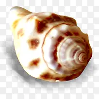 ��Ӱɳ̲����Ч��-������