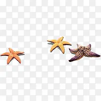 ���ɳ̲���⺣���������-������