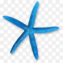 ��ɫɳ̲��Ӱ����-������