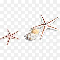 手绘沙滩海星创意-空若网 手绘沙滩海星创意-空若网