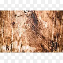 ����ľ�屳��-������