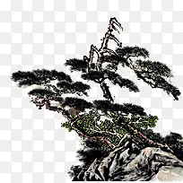 手绘松树-空若网 手绘松树-空若网