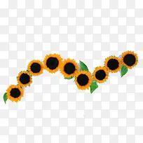 向日葵-空若网 向日葵-空若网