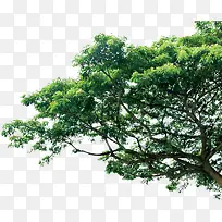 ��-������