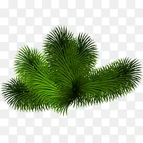 绿色松树树枝元旦-空若网 绿色松树树枝元旦-空若网
