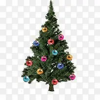 ����ʥ������������-������