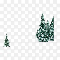圣诞节松树-空若网 圣诞节松树-空若网
