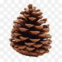 ����ʵ��-������