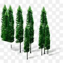 创意摄影合成效果绿色松树-空若网 创意摄影合成效果绿色松树-空若网