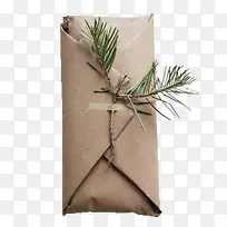 ֽ��ҩ-������