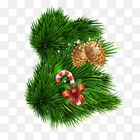 矢量松树树枝-空若网 矢量松树树枝-空若网