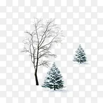 树-空若网 树-空若网