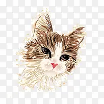 �ֻ濨ͨè��-������