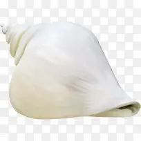 白色 海螺-空若网 白色 海螺-空若网